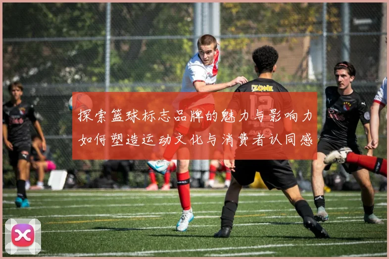 探索篮球标志品牌的魅力与影响力如何塑造运动文化与消费者认同感