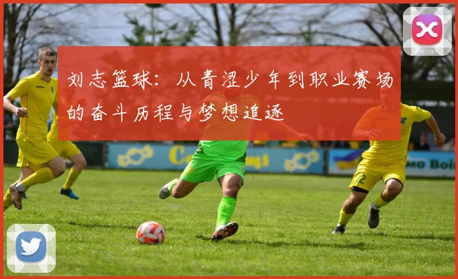 刘志篮球：从青涩少年到职业赛场的奋斗历程与梦想追逐